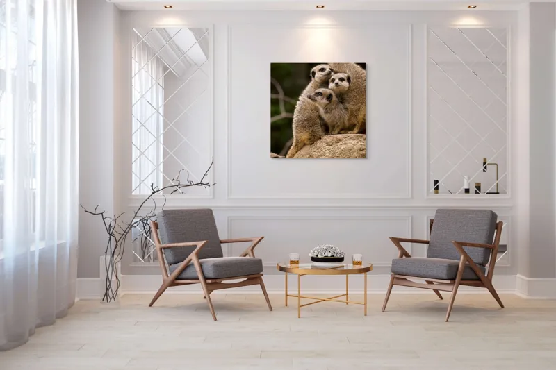 Tablou Canvas, "Suricatele veghează pe stâncă împreună", Meerkat, Grup, Vigilență, Blană, Curiozitate, Piatră, Natură, Familie, 100 x 100 cm – poza 7