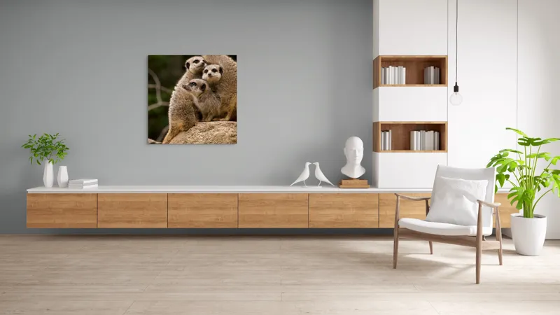 Tablou Canvas, "Suricatele veghează pe stâncă împreună", Meerkat, Grup, Vigilență, Blană, Curiozitate, Piatră, Natură, Familie, 100 x 100 cm – poza 8