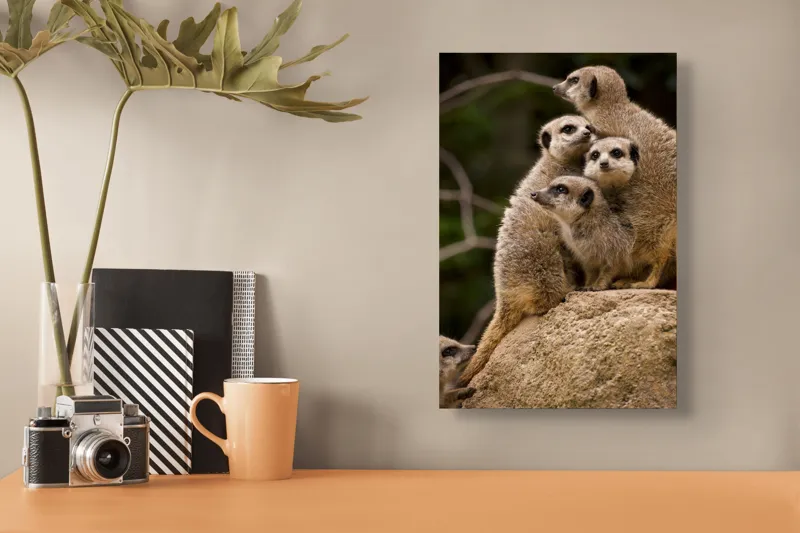 Tablou Canvas, "Suricatele veghează pe stâncă împreună", Meerkat, Grup, Vigilență, Blană, Curiozitate, Piatră, Natură, Familie, 26 x 39 cm – poza 3