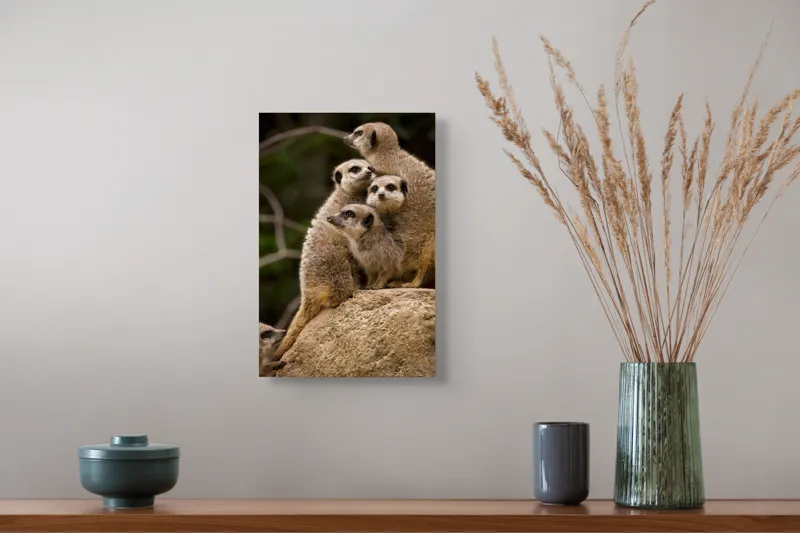 Tablou Canvas, "Suricatele veghează pe stâncă împreună", Meerkat, Grup, Vigilență, Blană, Curiozitate, Piatră, Natură, Familie, 26 x 39 cm – poza 5