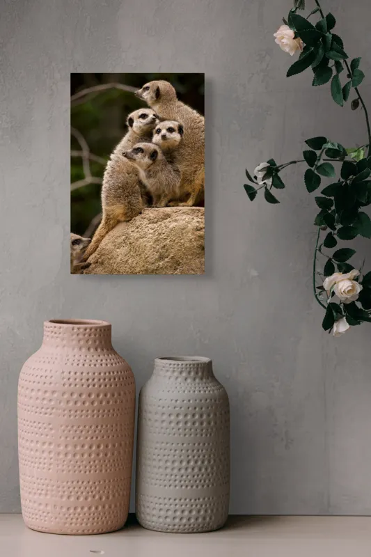 Tablou Canvas, "Suricatele veghează pe stâncă împreună", Meerkat, Grup, Vigilență, Blană, Curiozitate, Piatră, Natură, Familie, 26 x 39 cm – poza 6