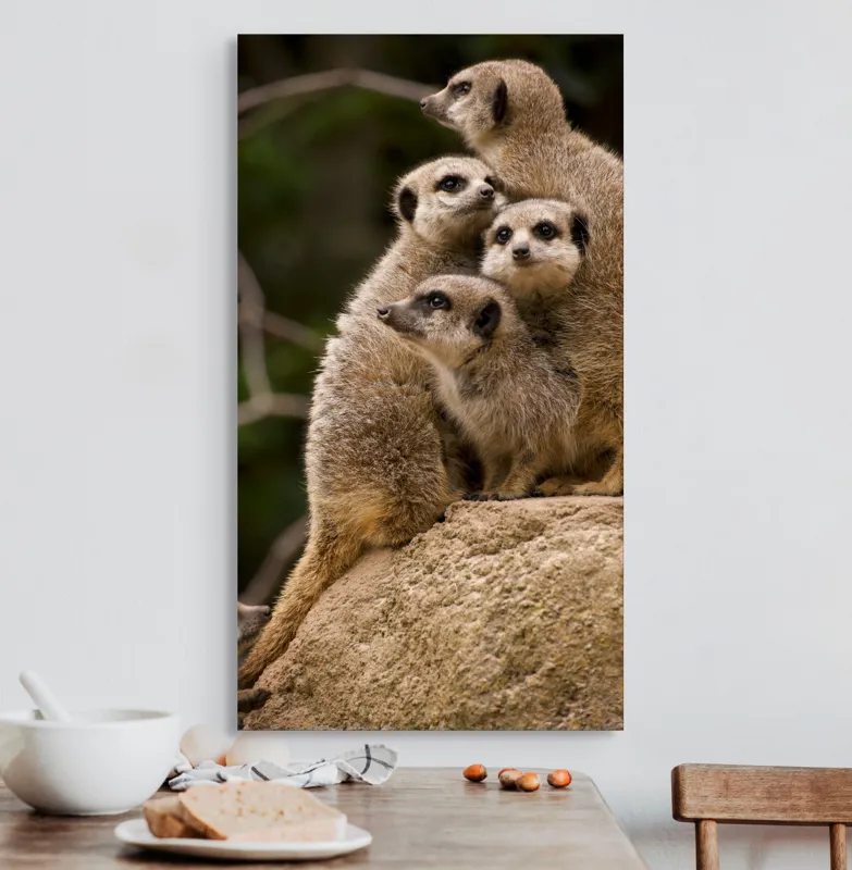 Tablou Canvas, "Suricatele veghează pe stâncă împreună", Meerkat, Grup, Vigilență, Blană, Curiozitate, Piatră, Natură, Familie, 50 x 90 cm – poza 3