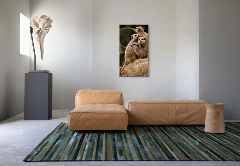Tablou Canvas, "Suricatele veghează pe stâncă împreună", Meerkat, Grup, Vigilență, Blană, Curiozitate, Piatră, Natură, Familie, 50 x 90 cm – poza 5