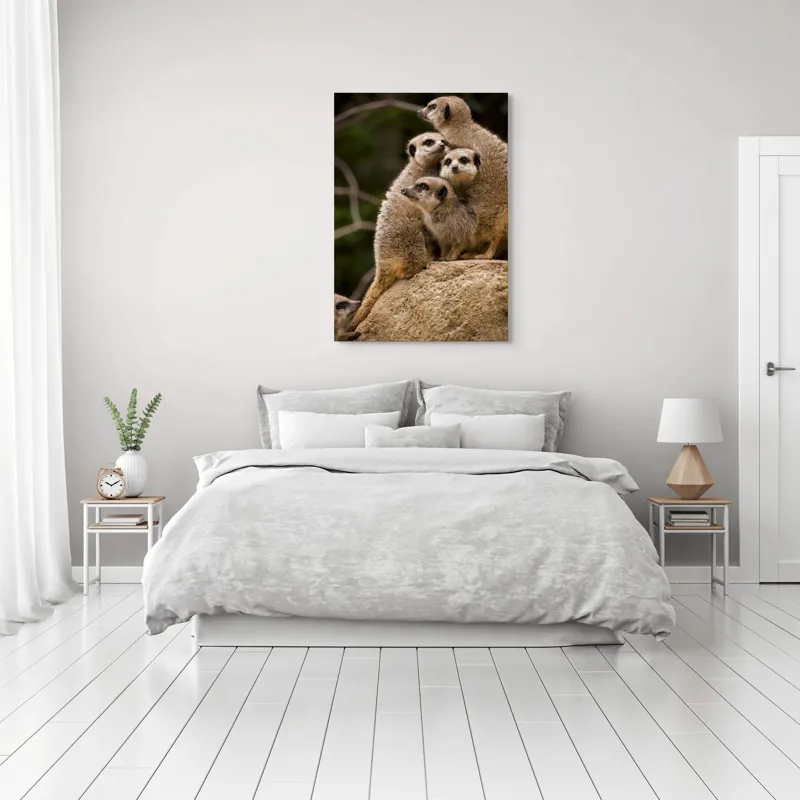 Tablou Canvas, "Suricatele veghează pe stâncă împreună", Meerkat, Grup, Vigilență, Blană, Curiozitate, Piatră, Natură, Familie, 70 x 100 cm – poza 3