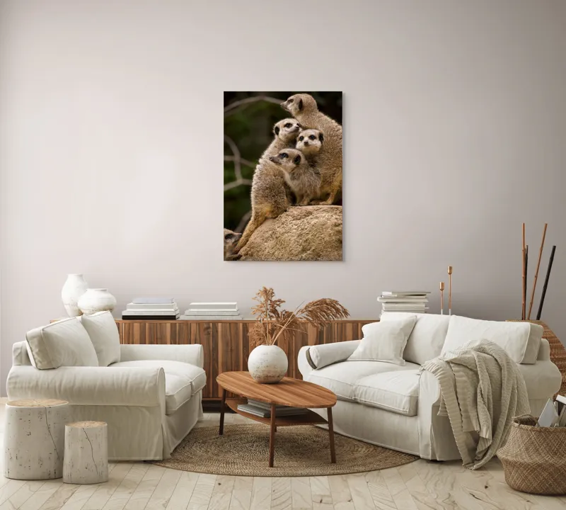 Tablou Canvas, "Suricatele veghează pe stâncă împreună", Meerkat, Grup, Vigilență, Blană, Curiozitate, Piatră, Natură, Familie, 70 x 100 cm – poza 4