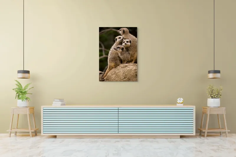 Tablou Canvas, "Suricatele veghează pe stâncă împreună", Meerkat, Grup, Vigilență, Blană, Curiozitate, Piatră, Natură, Familie, 70 x 100 cm – poza 5