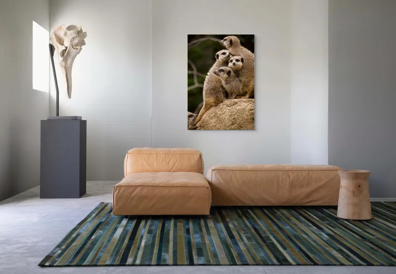 Tablou Canvas, "Suricatele veghează pe stâncă împreună", Meerkat, Grup, Vigilență, Blană, Curiozitate, Piatră, Natură, Familie, 70 x 100 cm – poza 7
