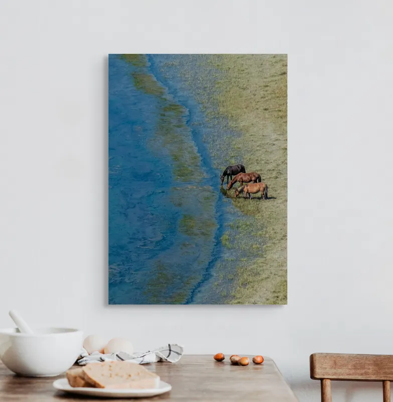Tablou Canvas, "Trei cai lângă apă liniștită", Ape, Cai, Iarbă, Mal, Natură, Liniște, Reflecție., 50 x 70 cm – poza 3