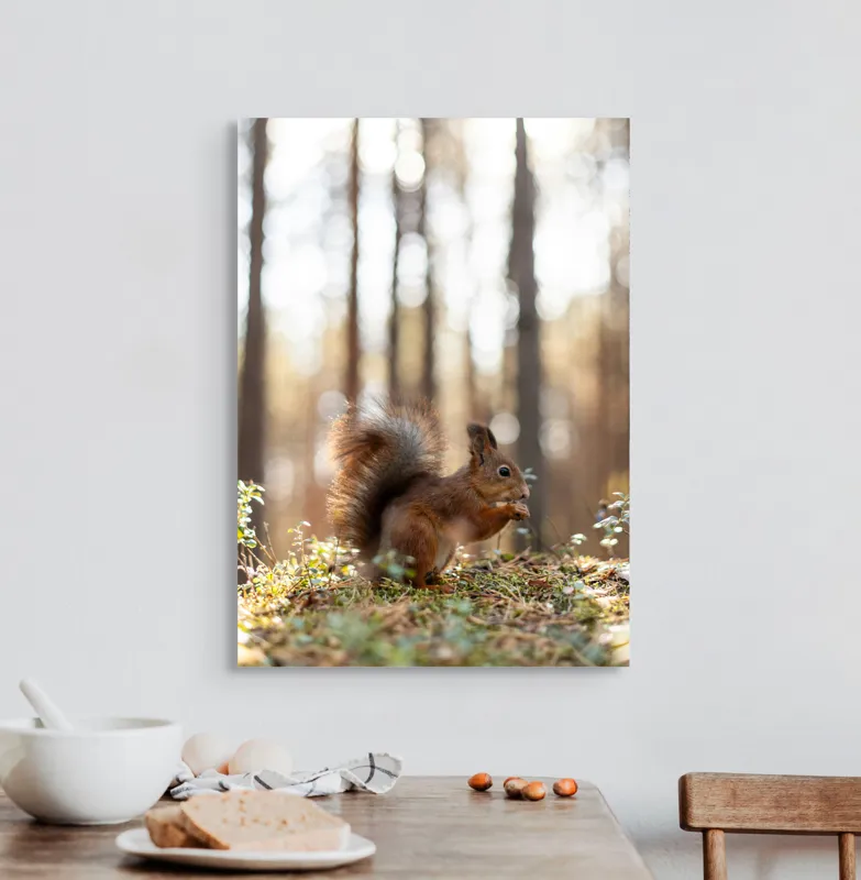 Tablou Canvas, "Veverița printre lumini de pădure", Veveriță, Pădure, Luminiș, Blană, Coadă, Nuci, Frunze, Natură, Lumină, Arbori, 50 x 70 cm – poza 3