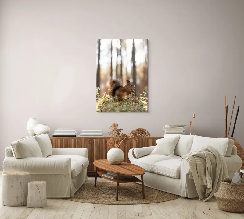 Tablou Canvas, "Veverița printre lumini de pădure", Veveriță, Pădure, Luminiș, Blană, Coadă, Nuci, Frunze, Natură, Lumină, Arbori, 70 x 100 cm – poza 4