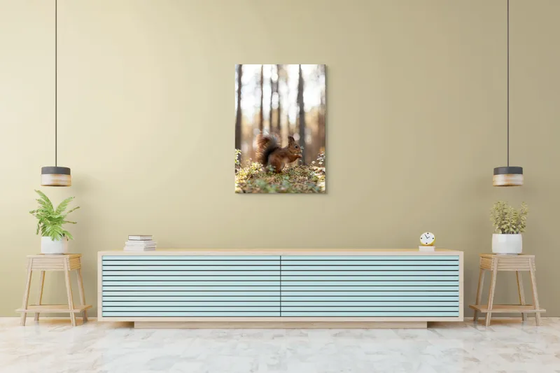 Tablou Canvas, "Veverița printre lumini de pădure", Veveriță, Pădure, Luminiș, Blană, Coadă, Nuci, Frunze, Natură, Lumină, Arbori, 70 x 100 cm – poza 5
