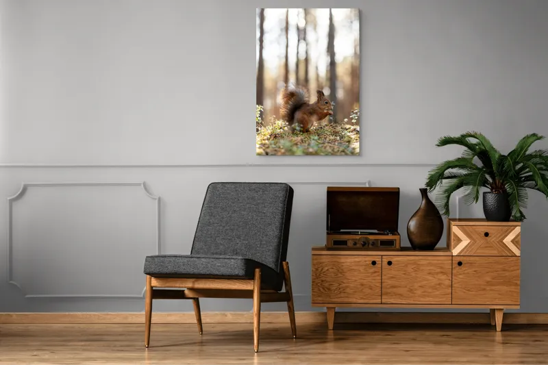 Tablou Canvas, "Veverița printre lumini de pădure", Veveriță, Pădure, Luminiș, Blană, Coadă, Nuci, Frunze, Natură, Lumină, Arbori, 70 x 100 cm – poza 6