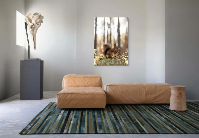 Tablou Canvas, "Veverița printre lumini de pădure", Veveriță, Pădure, Luminiș, Blană, Coadă, Nuci, Frunze, Natură, Lumină, Arbori, 70 x 100 cm – poza 7