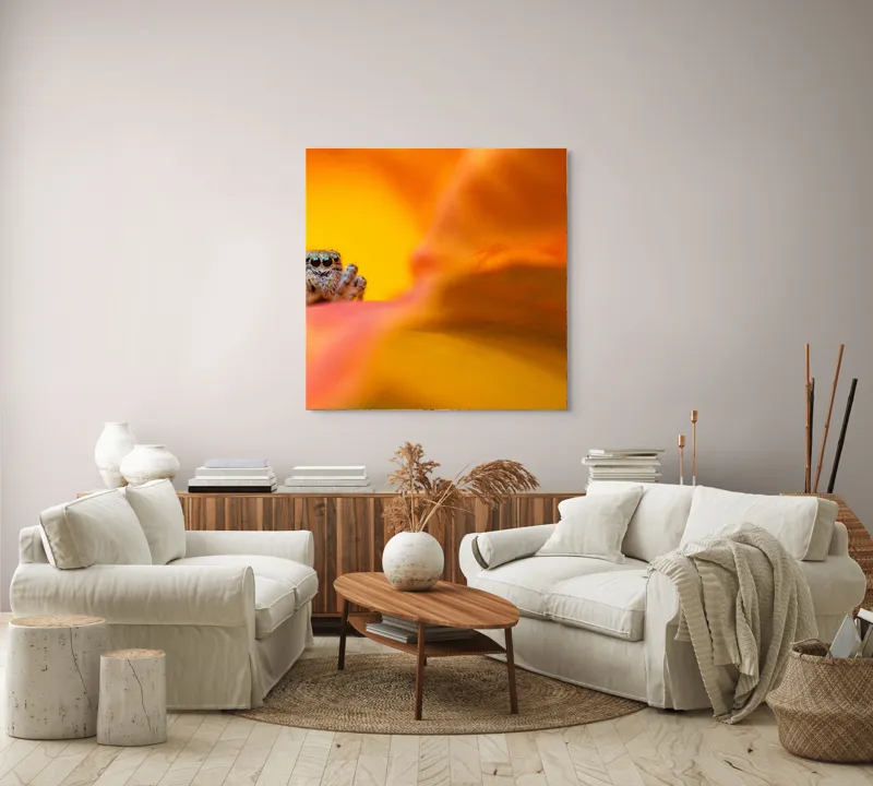 Tablou Canvas, "Curiozitatea unui păianjen colorat", Păianjen, Petală, Portocaliu, Focalizare, Contrast, Mic, Fundal, Textură, 100 x 100 cm – poza 3