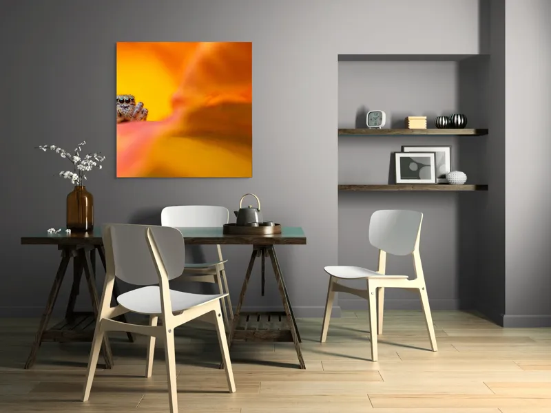 Tablou Canvas, "Curiozitatea unui păianjen colorat", Păianjen, Petală, Portocaliu, Focalizare, Contrast, Mic, Fundal, Textură, 100 x 100 cm – poza 6