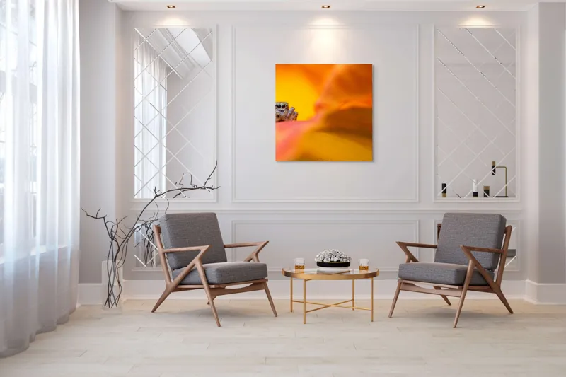 Tablou Canvas, "Curiozitatea unui păianjen colorat", Păianjen, Petală, Portocaliu, Focalizare, Contrast, Mic, Fundal, Textură, 100 x 100 cm – poza 7