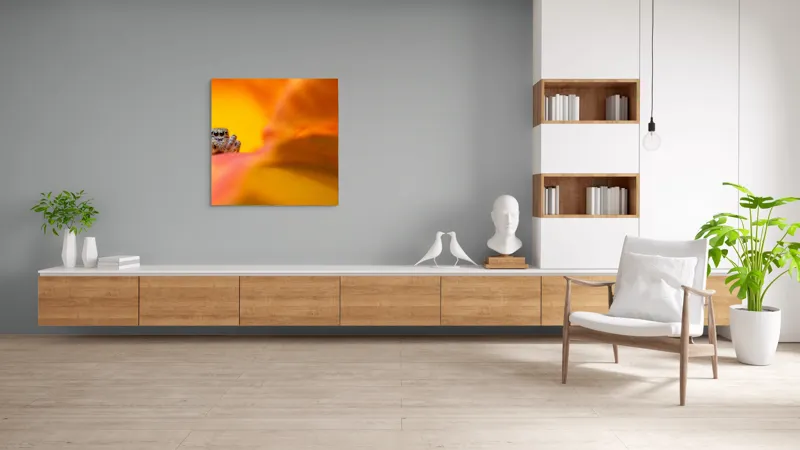 Tablou Canvas, "Curiozitatea unui păianjen colorat", Păianjen, Petală, Portocaliu, Focalizare, Contrast, Mic, Fundal, Textură, 100 x 100 cm – poza 8