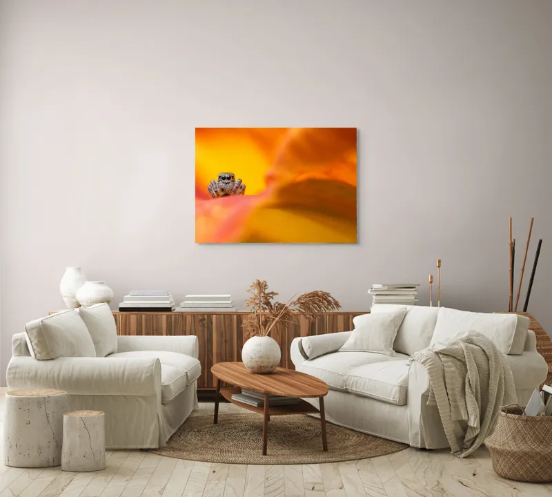 Tablou Canvas, "Curiozitatea unui păianjen colorat", Păianjen, Petală, Portocaliu, Focalizare, Contrast, Mic, Fundal, Textură, 100 x 70 cm – poza 3