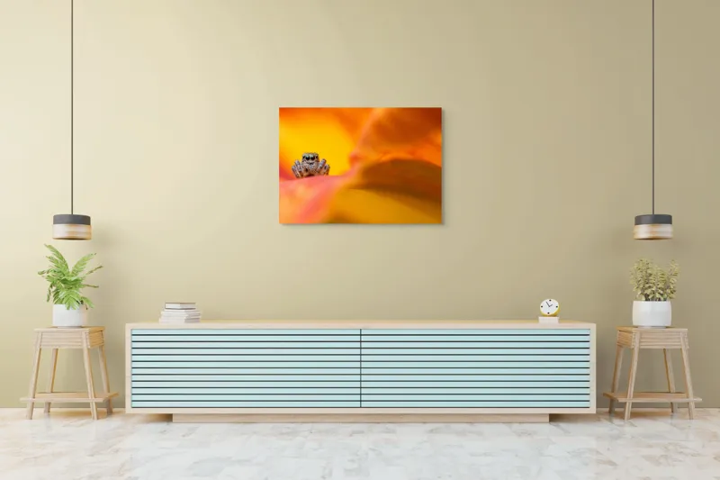 Tablou Canvas, "Curiozitatea unui păianjen colorat", Păianjen, Petală, Portocaliu, Focalizare, Contrast, Mic, Fundal, Textură, 100 x 70 cm – poza 4