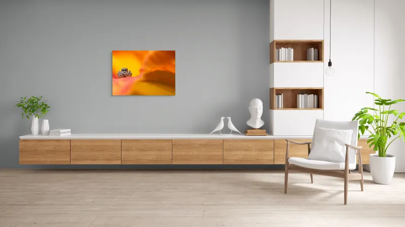 Tablou Canvas, "Curiozitatea unui păianjen colorat", Păianjen, Petală, Portocaliu, Focalizare, Contrast, Mic, Fundal, Textură, 100 x 70 cm – poza 6