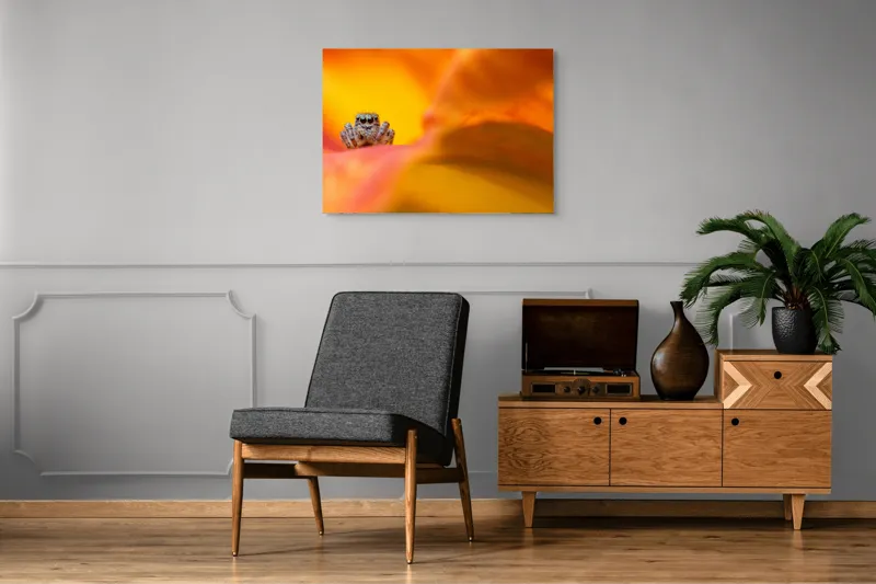 Tablou Canvas, "Curiozitatea unui păianjen colorat", Păianjen, Petală, Portocaliu, Focalizare, Contrast, Mic, Fundal, Textură, 100 x 70 cm – poza 8