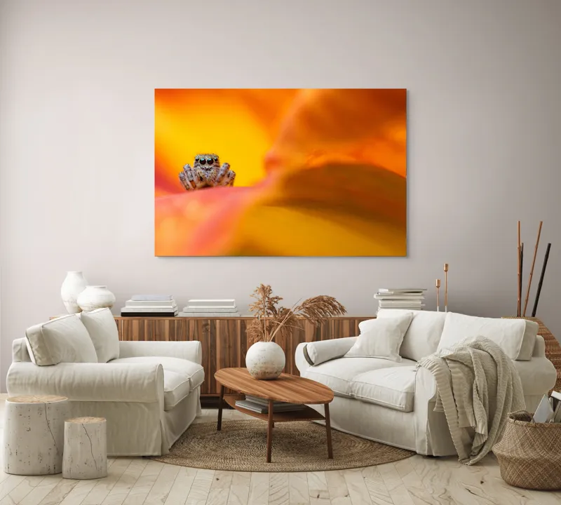 Tablou Canvas, "Curiozitatea unui păianjen colorat", Păianjen, Petală, Portocaliu, Focalizare, Contrast, Mic, Fundal, Textură, 150 x 100 cm – poza 3