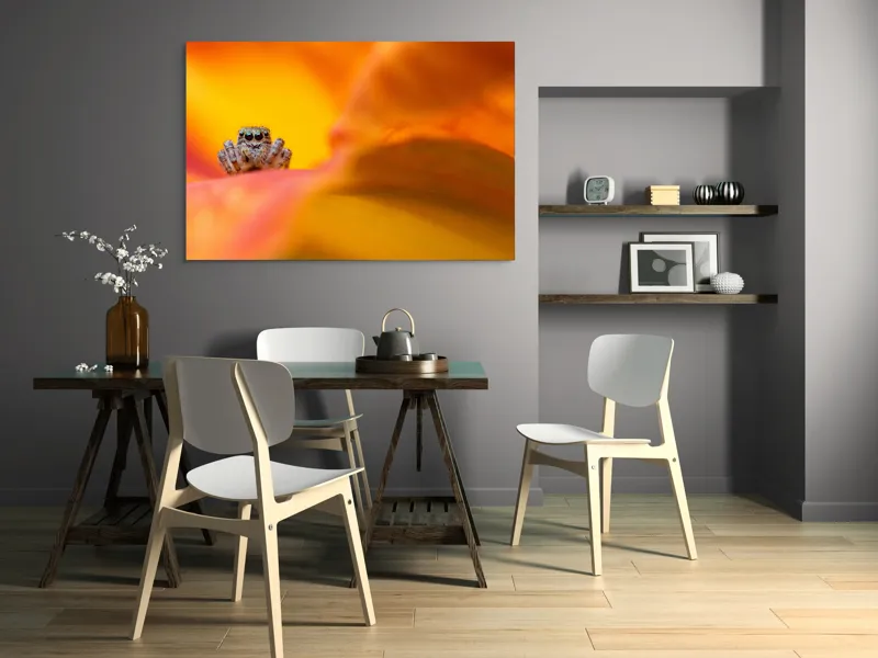 Tablou Canvas, "Curiozitatea unui păianjen colorat", Păianjen, Petală, Portocaliu, Focalizare, Contrast, Mic, Fundal, Textură, 150 x 100 cm – poza 5