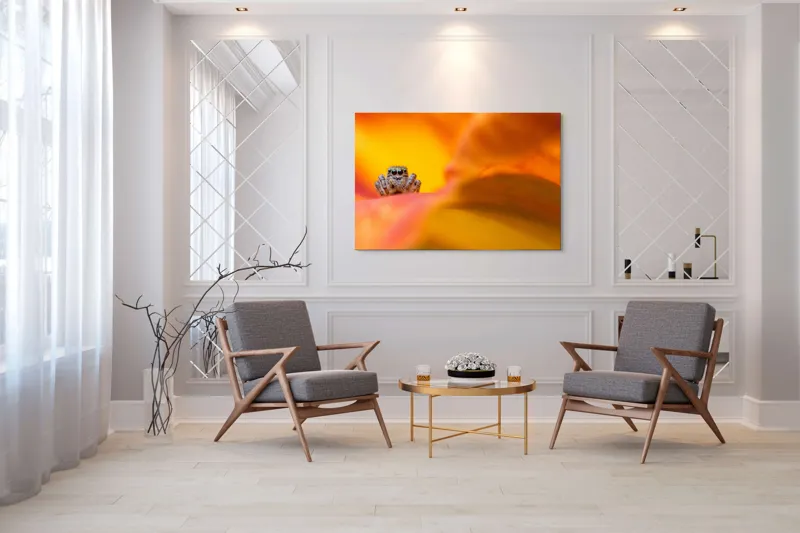 Tablou Canvas, "Curiozitatea unui păianjen colorat", Păianjen, Petală, Portocaliu, Focalizare, Contrast, Mic, Fundal, Textură, 150 x 100 cm – poza 7