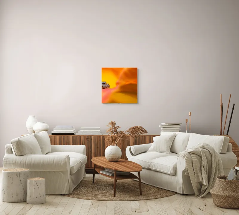 Tablou Canvas, "Curiozitatea unui păianjen colorat", Păianjen, Petală, Portocaliu, Focalizare, Contrast, Mic, Fundal, Textură, 50 x 50 cm – poza 7