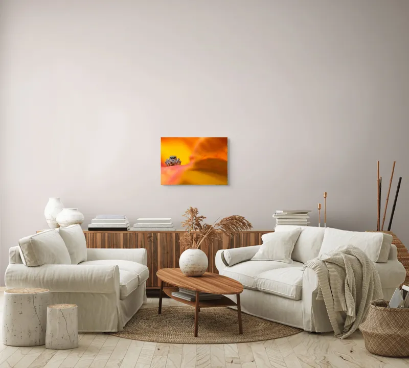 Tablou Canvas, "Curiozitatea unui păianjen colorat", Păianjen, Petală, Portocaliu, Focalizare, Contrast, Mic, Fundal, Textură, 54 x 39 cm – poza 5