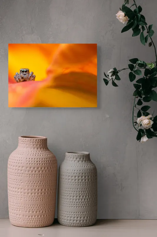 Tablou Canvas, "Curiozitatea unui păianjen colorat", Păianjen, Petală, Portocaliu, Focalizare, Contrast, Mic, Fundal, Textură, 54 x 39 cm – poza 8