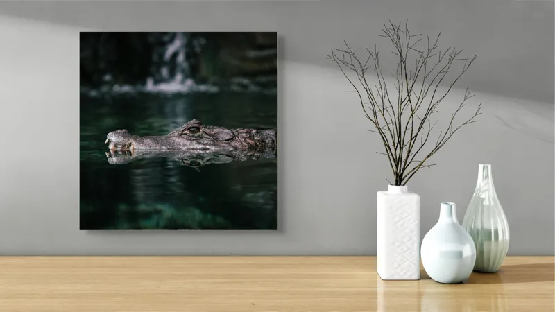 Tablou Canvas, "Crocodilul ascuns în apă liniștită", Crocodil, Apă, Reflecție, Vegetație, 50 x 50 cm – poza 3