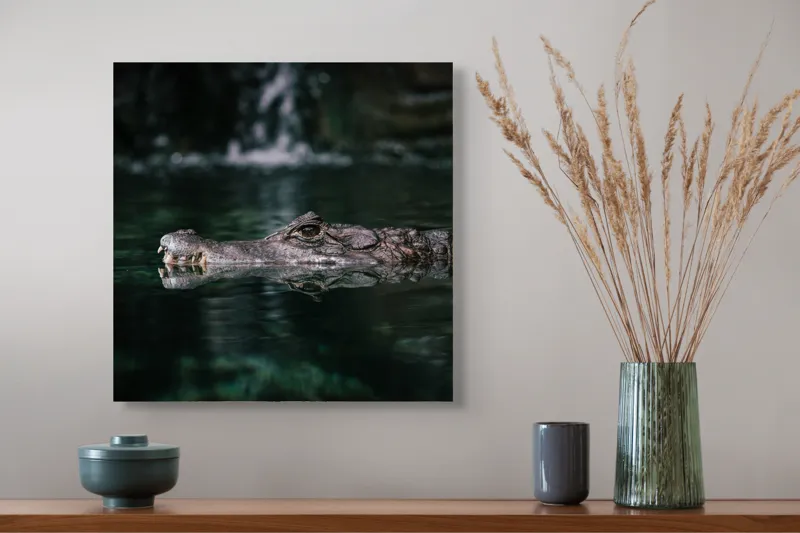 Tablou Canvas, "Crocodilul ascuns în apă liniștită", Crocodil, Apă, Reflecție, Vegetație, 50 x 50 cm – poza 4