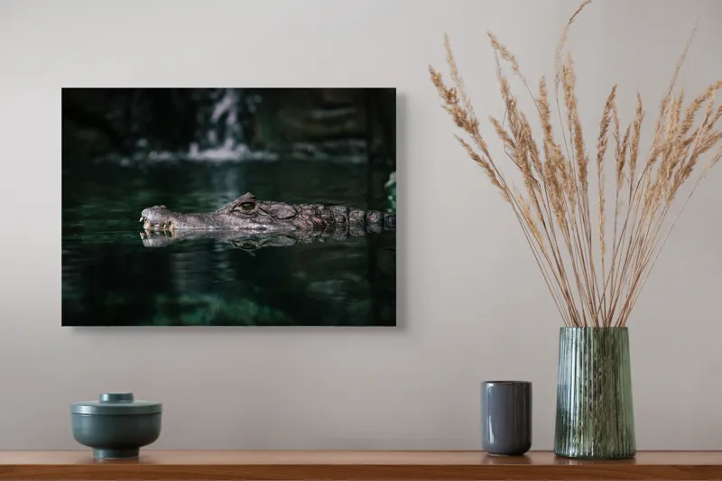 Tablou Canvas, "Crocodilul ascuns în apă liniștită", Crocodil, Apă, Reflecție, Vegetație, 54 x 39 cm – poza 4