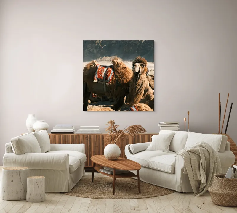 Tablou Canvas, "Cămila cu șaua brodată colorată", Cămile, Peisaj, Păturici, Munte, Cer, Nisip, Blană, Grup, Călători, Odihnă, 100 x 100 cm – poza 3