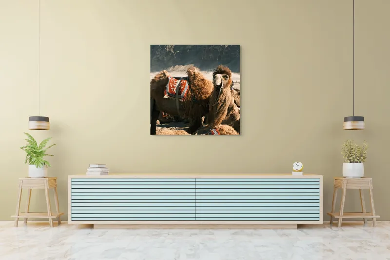 Tablou Canvas, "Cămila cu șaua brodată colorată", Cămile, Peisaj, Păturici, Munte, Cer, Nisip, Blană, Grup, Călători, Odihnă, 100 x 100 cm – poza 5