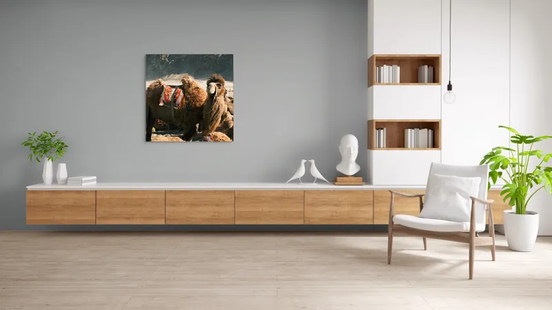 Tablou Canvas, "Cămila cu șaua brodată colorată", Cămile, Peisaj, Păturici, Munte, Cer, Nisip, Blană, Grup, Călători, Odihnă, 100 x 100 cm – poza 8