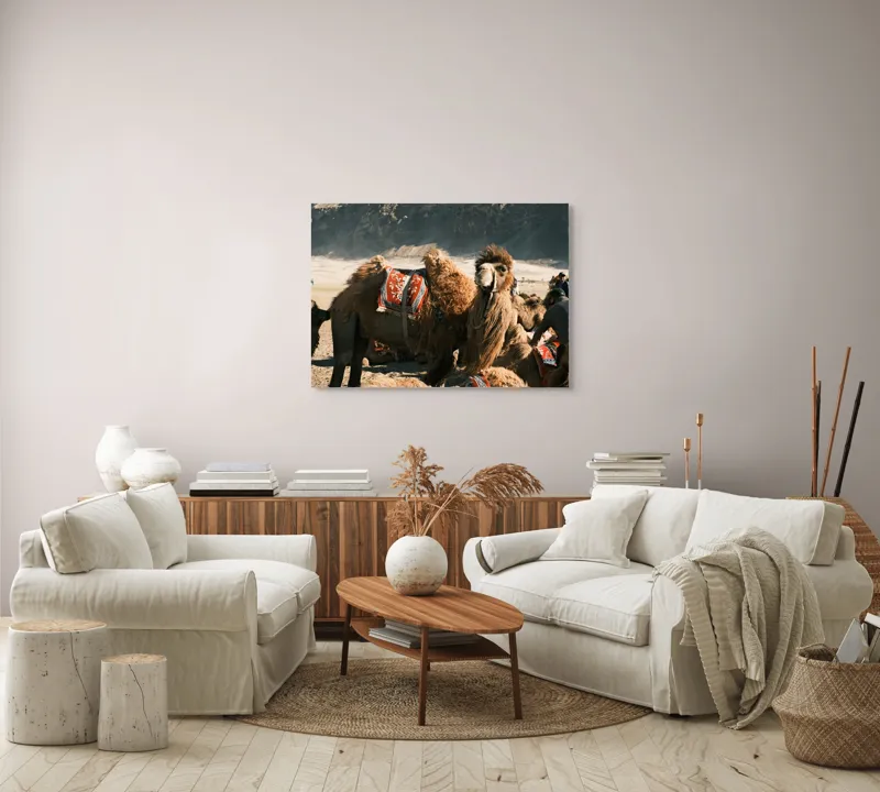Tablou Canvas, "Cămila cu șaua brodată colorată", Cămile, Peisaj, Păturici, Munte, Cer, Nisip, Blană, Grup, Călători, Odihnă, 100 x 70 cm – poza 3