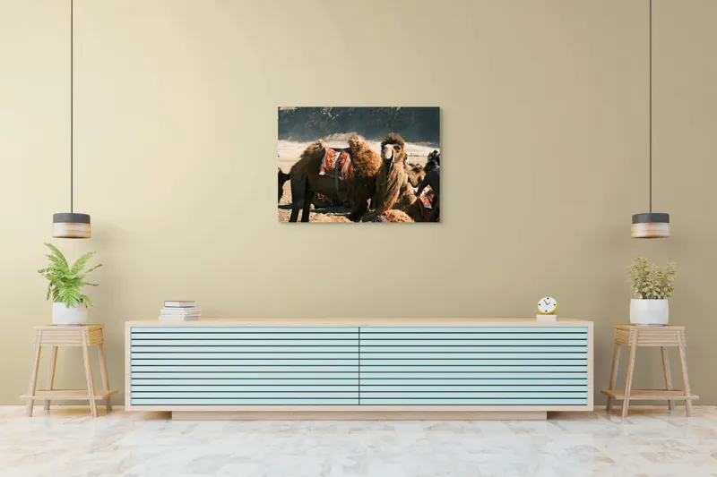 Tablou Canvas, "Cămila cu șaua brodată colorată", Cămile, Peisaj, Păturici, Munte, Cer, Nisip, Blană, Grup, Călători, Odihnă, 100 x 70 cm – poza 4