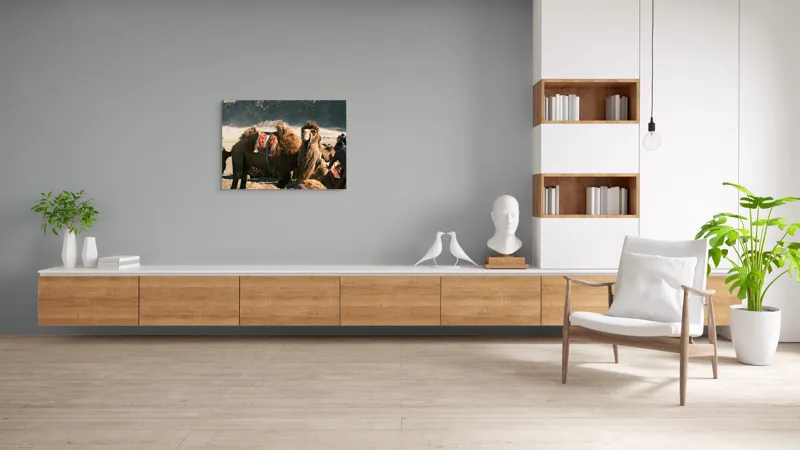 Tablou Canvas, "Cămila cu șaua brodată colorată", Cămile, Peisaj, Păturici, Munte, Cer, Nisip, Blană, Grup, Călători, Odihnă, 100 x 70 cm – poza 6
