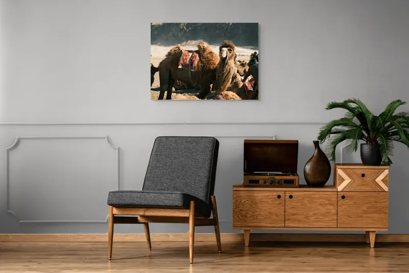 Tablou Canvas, "Cămila cu șaua brodată colorată", Cămile, Peisaj, Păturici, Munte, Cer, Nisip, Blană, Grup, Călători, Odihnă, 100 x 70 cm – poza 8
