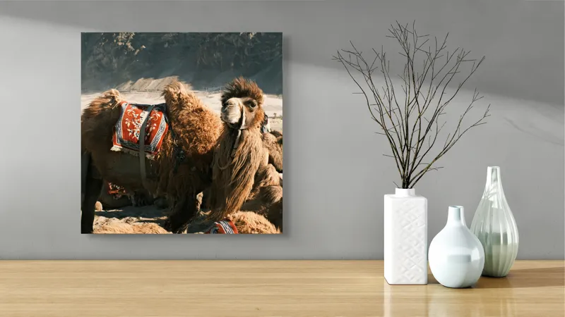 Tablou Canvas, "Cămila cu șaua brodată colorată", Cămile, Peisaj, Păturici, Munte, Cer, Nisip, Blană, Grup, Călători, Odihnă, 50 x 50 cm – poza 3