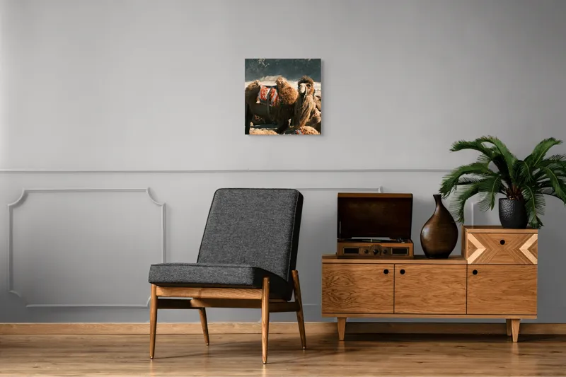 Tablou Canvas, "Cămila cu șaua brodată colorată", Cămile, Peisaj, Păturici, Munte, Cer, Nisip, Blană, Grup, Călători, Odihnă, 50 x 50 cm – poza 6