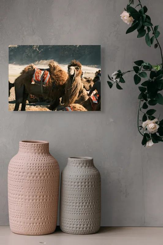 Tablou Canvas, "Cămila cu șaua brodată colorată", Cămile, Peisaj, Păturici, Munte, Cer, Nisip, Blană, Grup, Călători, Odihnă, 54 x 39 cm – poza 8