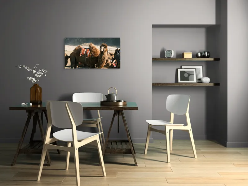Tablou Canvas, "Cămila cu șaua brodată colorată", Cămile, Peisaj, Păturici, Munte, Cer, Nisip, Blană, Grup, Călători, Odihnă, 90 x 50 cm – poza 3