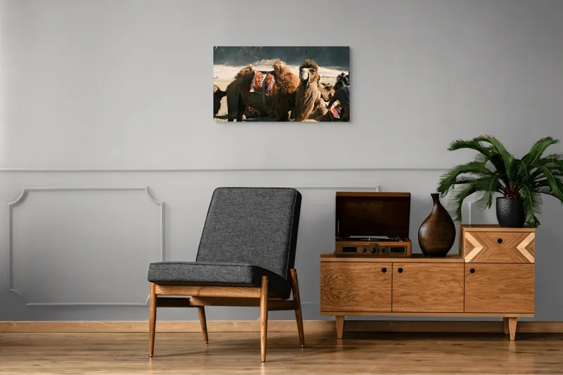 Tablou Canvas, "Cămila cu șaua brodată colorată", Cămile, Peisaj, Păturici, Munte, Cer, Nisip, Blană, Grup, Călători, Odihnă, 90 x 50 cm – poza 6