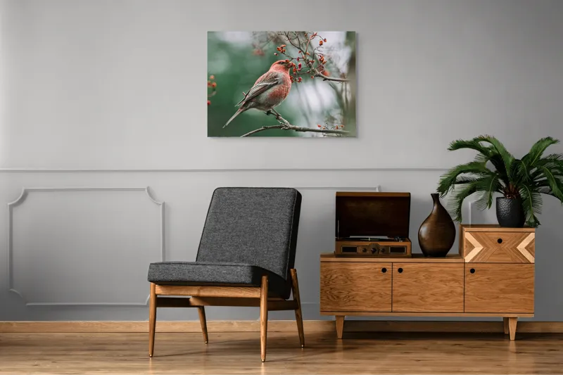 Tablou Canvas, "Pasărea roșcată pe ramură înflorită", Pasăre, Ramură, Flori, Natură, Penaj, Roz, Beak, Frunziș, Perching, Wild., 100 x 70 cm – poza 8