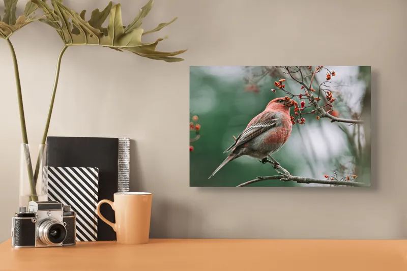 Tablou Canvas, "Pasărea roșcată pe ramură înflorită", Pasăre, Ramură, Flori, Natură, Penaj, Roz, Beak, Frunziș, Perching, Wild., 39 x 26 cm – poza 3