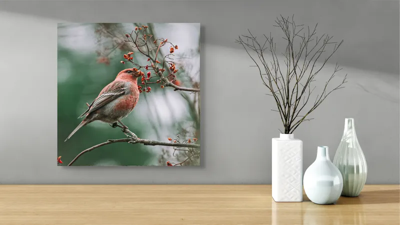 Tablou Canvas, "Pasărea roșcată pe ramură înflorită", Pasăre, Ramură, Flori, Natură, Penaj, Roz, Beak, Frunziș, Perching, Wild., 50 x 50 cm – poza 3