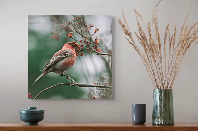 Tablou Canvas, "Pasărea roșcată pe ramură înflorită", Pasăre, Ramură, Flori, Natură, Penaj, Roz, Beak, Frunziș, Perching, Wild., 50 x 50 cm – poza 4